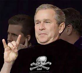 Bush loves 322